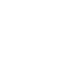 Mochi-Logow.png